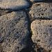 20090117_naplestrp_42_pompei